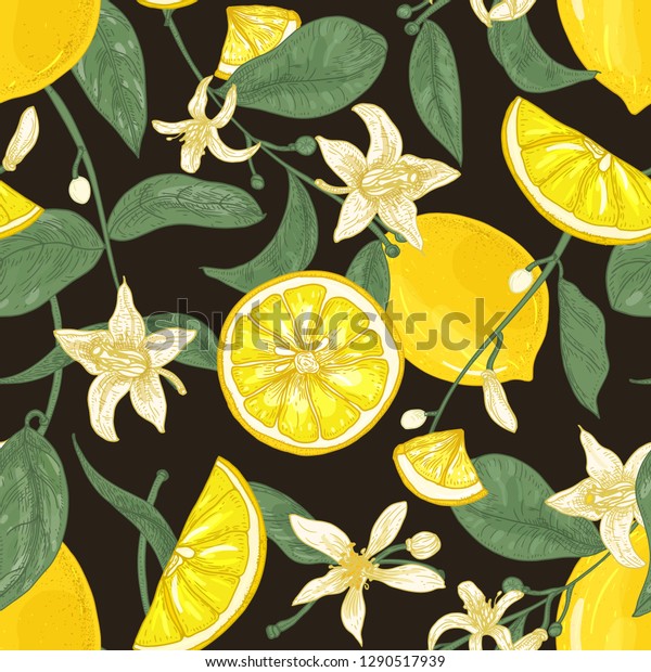 黒い背景に植物のシームレスな模様とレモン 全体を切り刻み 枝に花と葉 かんきつ類の背景 織物用のエレガントなベクターイラスト のベクター画像素材 ロイヤリティフリー