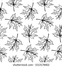 Botanical seamless pattern with maple on white background. Autumn design. Hand drawn sketch vector illustration. Vintage line ar