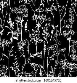 Botanical seamless pattern. Meadow herbs, plants, flowers. Line outline graphic drawing. Elegant floral silhouettes. Herbaruim style ornament.