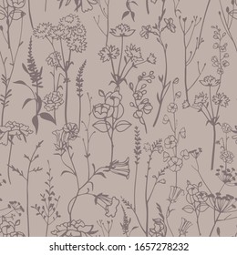  Patrón botánico sin fisuras. Hierbas praderas, plantas, flores. Dibujo gráfico de esquema de línea. Elegantes siluetas florales. El adorno de estilo herbaruim.