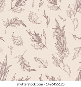 Botanical seamless pattern with quinoa or amaranth plant hand drawn with contour lines on light background. Natural backdrop with edible grain crop. Realistic vector illustration in antique style.