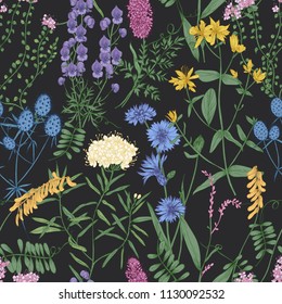 Botanical seamless pattern with romantic wild blooming flowers, meadow flowering herbs and herbaceous plants on black background. Natural hand drawn vector illustration for wallpaper, textile print