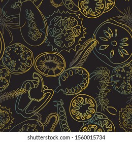 Botanical seamless pattern. Sliced vegetables and fruits. Сentipedes. Line drawing. 