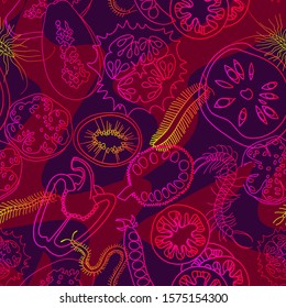 Botanical seamless pattern. Sliced vegetables and fruits. Сentipedes. Line drawing. 