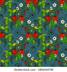 Botanical seamless pattern of strawberry plants with berries and flowers. Vector stock illustration eps10 