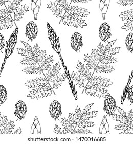 Botanical seamless pattern in vintage style. Various leaves of ferns, cones, horsetail, calamus, sow thistle, wheat grass, holly. Vector engraving black and white illustration. 