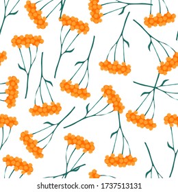 Botanical seamless pattern with wild flowers, vector. Use for fashion print, wallpaper, cover and more