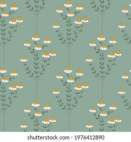 Botanical seamless vector pattern with chamomiles. Flowers on seafoam green background color. Great for fabric, textile, wrapping paper, wallpaper, cover, interior decor.