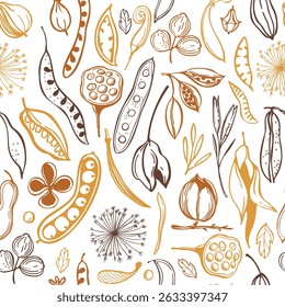 Botanical seamless vector pattern with hand-drawn seedpods. Sketch  illustration.