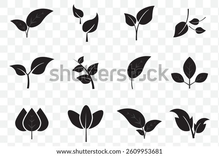 Botanical set of 12 abstract isolated black leaves icons, environmental signs and label, plant branches, twigs tea and natural sprigs silhouettes on Transparent Background. EPS 10.