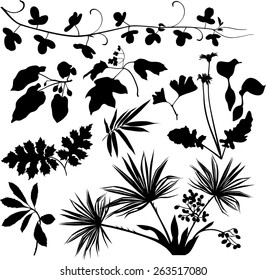 Botanical set