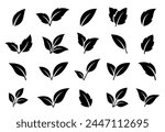 botanical set of abstract isolated black leaves icons, environmental signs and label, plant branches, twigs tea and natural sprigs silhouettes on white background