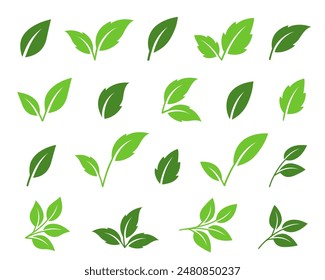 botanical set of abstract isolated green leaves icons, environmental signs and label, plant branches, twigs tea and natural sprigs silhouettes on white background