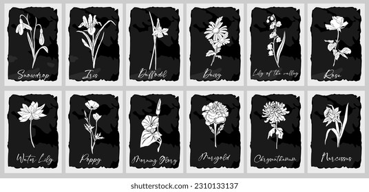 Botanical set of birth month flowers. Wild and garden floral plants. Gorgeous snowdrop, daffodil, iris, poppy, marigold, lily, rose flowers white vector silhouettes isolated on black background