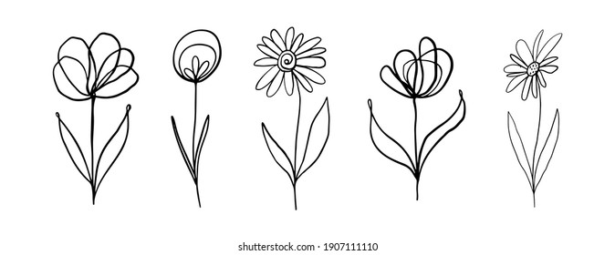 Botanical set of black hand drawn leaves and flowers isolated on white. Prosperity elements collection for design. Vector illustration. Flowers in one line.