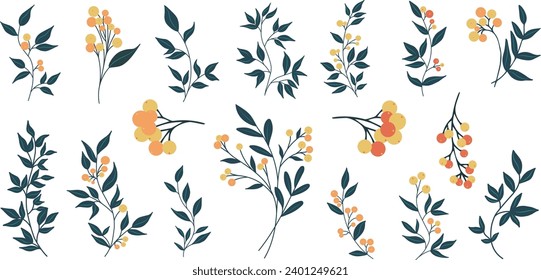 Botanical set of branches, berries and leaves. Abstract creative flower collection, minimalist flower art for print, tattoo. Vector illustration