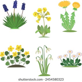 Botanical set with cartoon spring flowers isolated on white background.