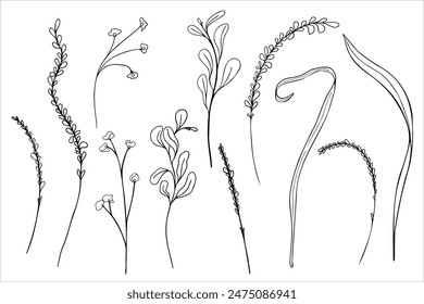 Botanical set delicate foliage and small flowers black white vector line illustration isolated. Various abstract leaves and stems outline hand drawn. For nature themed projects and decor.