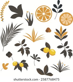 Botanical set elements in vintage style illustration