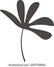 Botanical set elements in vintage style illustration