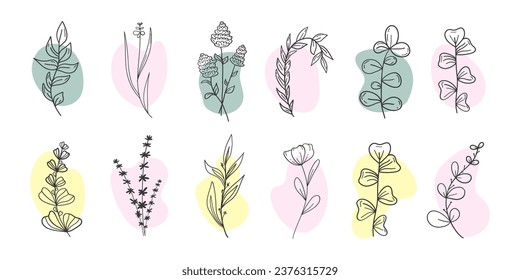 Conjunto botánico. Estilo plano. Ramas de plantas, hojas puntiagudas y redondas. Flores ricas. Plantas en el fondo de manchas rosas, amarillas y verdes. Para postales, tarjetas de invitación.