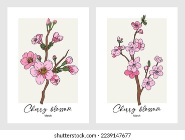 Botanical set of floral plants. Gorgeous cherry blossom, sakura flowers. Colorful vector art illustration, March birth month flower. Trendy design for wall art, greeting card, tattoo, jewelry, logo