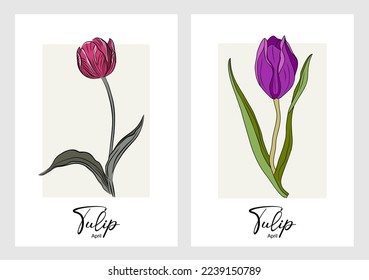 Botanical set of floral plants. Gorgeous tulip flowers isolated. Colorful vector art illustration, April birth month flower. Trendy design for wall art, poster, greeting card, tattoo, jewelry, logo