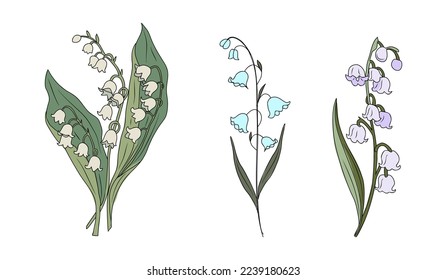 Botanical set of floral plants. Gorgeous Lily of the valley flowers isolated. Colorful vector illustration, May birth month flower. Trendy design for wall art, poster, cards, invitation, tattoo, logo