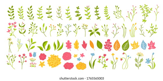 Botanical set flower, branch and leaf. Abstract different beautiful floral design elements. Colorful flat floral cartoon eco collection. Beautiful isolated flowers. Vector illustration