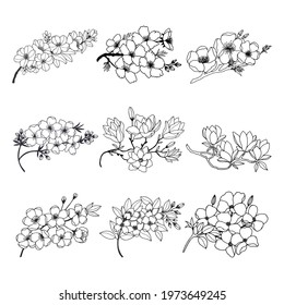 Botanical set of flowering branches. Vector stock illustration eps10. 