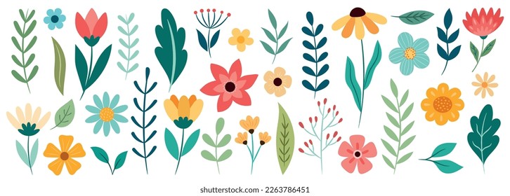 Botanical set with flowers, leaves, plants