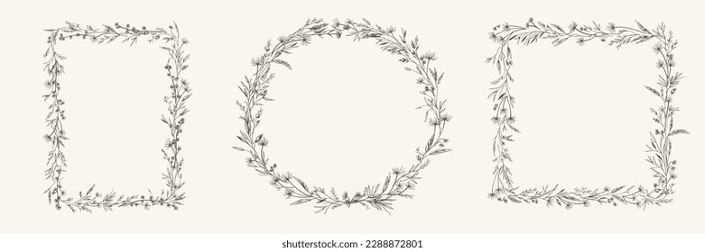 Botanical set frames with meadow herbs. Wreath with dry grass. Black and white. Vector illustration. Line art. Layout border for invitations card, postcards, logos, covers, labels.