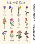 Botanical set of garden floral plants. Gorgeous carnation, daffodil, iris, larkspur, peony, poppy, marigold, tulip, lily and rose flowers isolated. Colorful vector art illustration, birth month flower