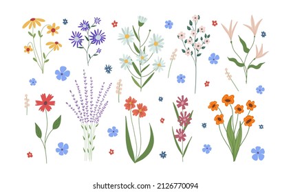 Botanical set of garden floral plants. Colorful flat vector illustration.