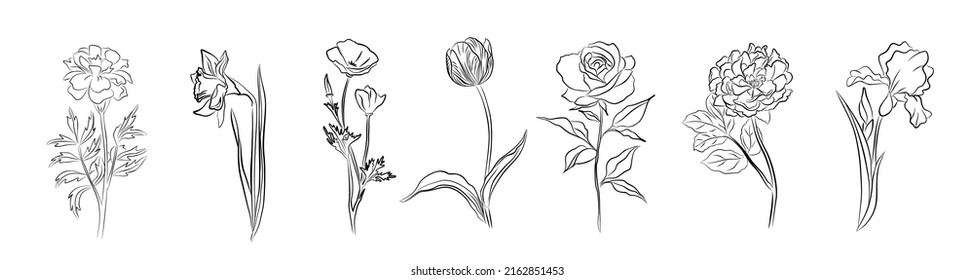 Botanical set of garden floral plants. Gorgeous daffodil, iris, peony, poppy, tulip, rose and marigold flowers isolated white background. Hand drawn line art sketch, monochrome vector contour drawing.