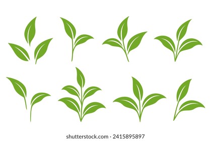 Botanical set of green branches with leaves, plant sprout, plants twigs and sprig