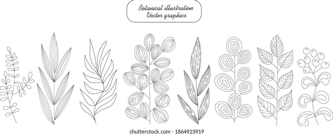 Botanical set, hand drawn. Tree and herbal branches with different leaves and berries. Natural graphic elements for your design of, greeting cards, gift packaging. decoration of a blog or website page