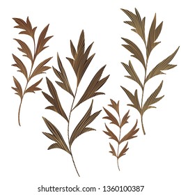 Botanical set isolated on white. Vector collection of twigs and stems with textured leaves. Decorative floral elements.