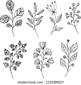 Botanical set of leaves. Black elegant floral decor elements.
Vector isolated botanical illustration