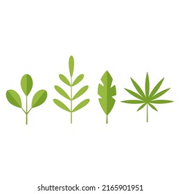 Botanical set of leaves. Different green leaf in flat cartoon style. Collection isolated elements on white background.