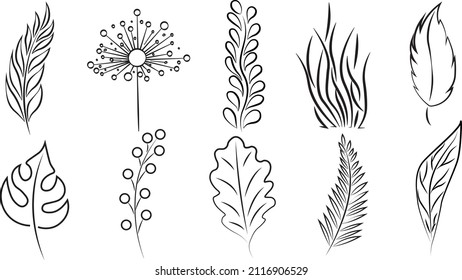 Botanical set of leaves, flowers, branches. Made in black. Can be used as icons, logos, for printing. Vector illustration. Postcard, poster