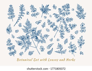 Botanisches Set mit Blättern. Vektorgrafik. Vintage, floraler Hintergrund. Designelemente. Blau-Weiß.