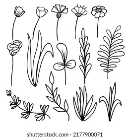 Botanical set, line style hand drawn flowers and plants. Floral elements for design projects. Vector illustration.