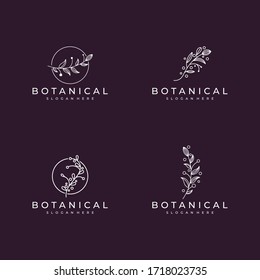 botanical set logo line style