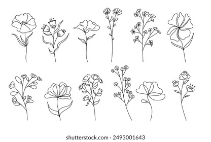 Silueta de contorno de conjunto botánico, rama dibujada a mano, flor, hoja. Plant line art, elemento decorativo de la naturaleza. Invitación, Anuncio, cubierta, diseño de tela. Vector