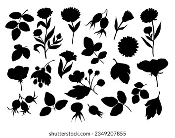 Botanical set of plants and flowers, vector floral silhouettes, design elements. Black shape illustrations