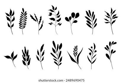 Conjunto botánico silueta, rama dibujada a mano, flor, hoja. Plant line art, elemento decorativo de la naturaleza. Invitación, Anuncio, cubierta, diseño de tela. Vector aislado sobre fondo blanco