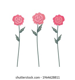Botanical set with simple bright roses, stems and leaves for a different kind of design.