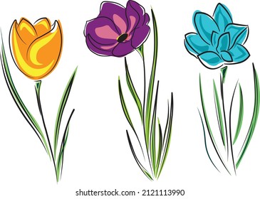 Botanical set of spring flowers, vector illustration