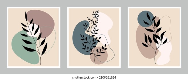 A botanical set of three paintings. Drawing of a foliage line with an abstract shape. Abstract design.